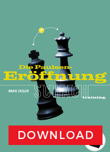 image of product: Die Paulsen-Eröffnung