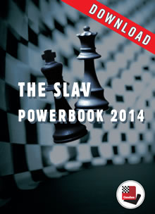 image of product: Slawisch Powerbook 2014