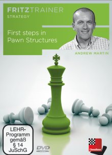 First steps in pawn structures