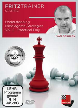 Understanding Middlegame Strategies Vol.2 - Practical Play