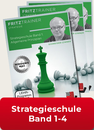 Strategieschule Band 1 bis 4