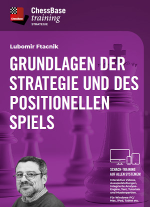 Grundlagen der Strategie und des postionellen Spiels