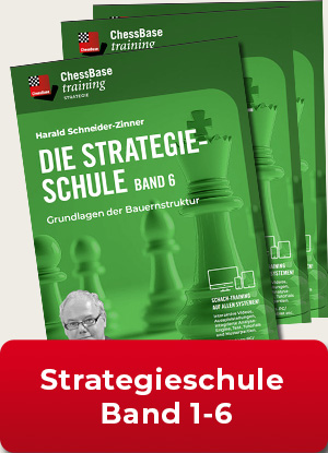 image of product: Strategieschule Band 1 bis 6