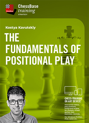image of product: The Fundamentals of Positional Play