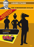 The Scheveningen Sicilian