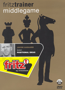 image of product: Basic Positional Ideas