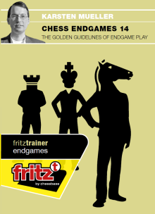 image of product: Chess Endgames 14 - The golden guidelines of endgame play