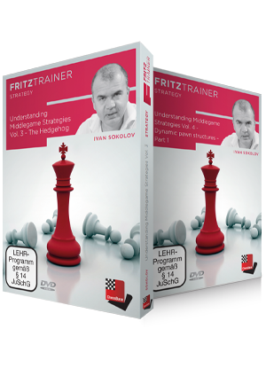 image of product: Understanding Middlegame Strategies Vol.3 and 4 - The Hedgehog/Dynamic pawn structures