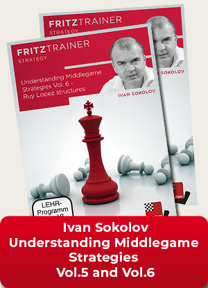 Sokolov: Understanding Middlegame Strategies Vol. 5 + 6