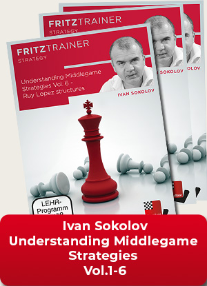 image of product: Understanding Middlegame Strategies Vol.1-6