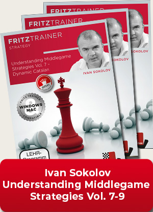 image of product: Understanding Middlegame Strategies Vol.7 - 9