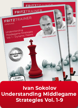 Sokolov's Best Games : Ivan Sokolov