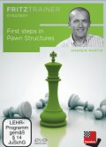 First steps in pawn structures