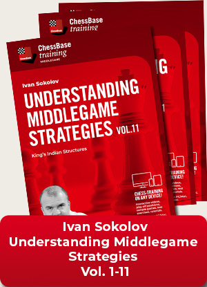 Understanding Middlegame Strategies Vol.1 - 11