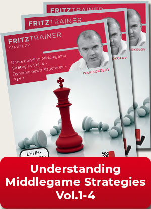 image of product: Understanding Middlegame Strategies Vol.1-4