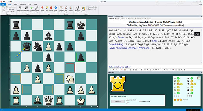 The “Control” board in the Fritz 13 chess program