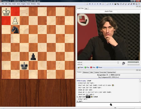 Fritz for Fun 13: Chessbase Power Play Tutorial v1 by Daniel King - Mating  Patterns en Steam